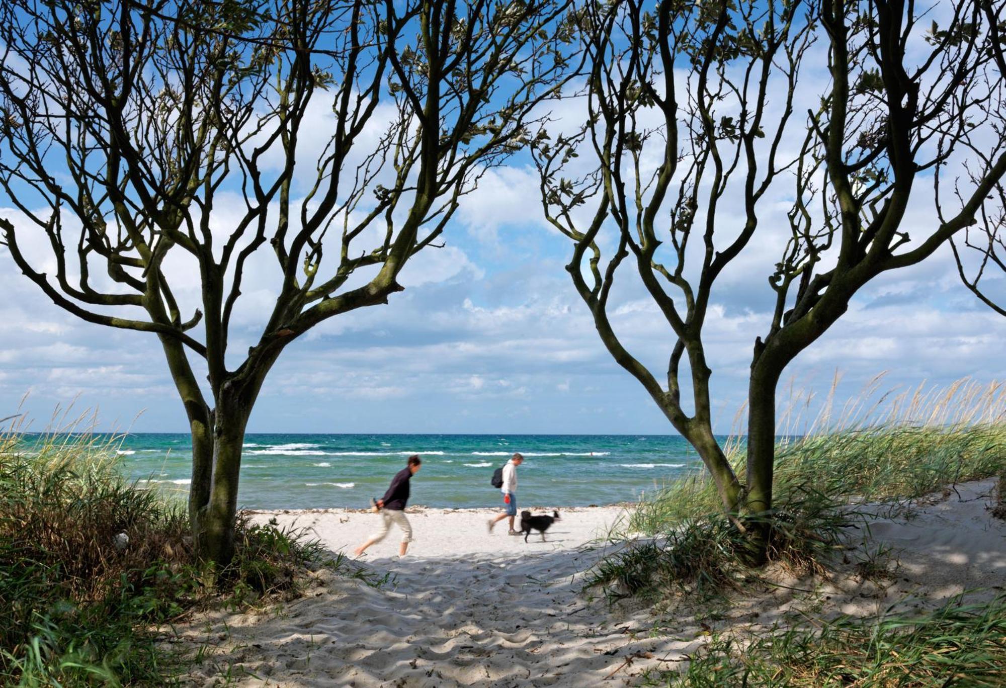 Gollwitzer Park Oase Insel Poel Exterior foto