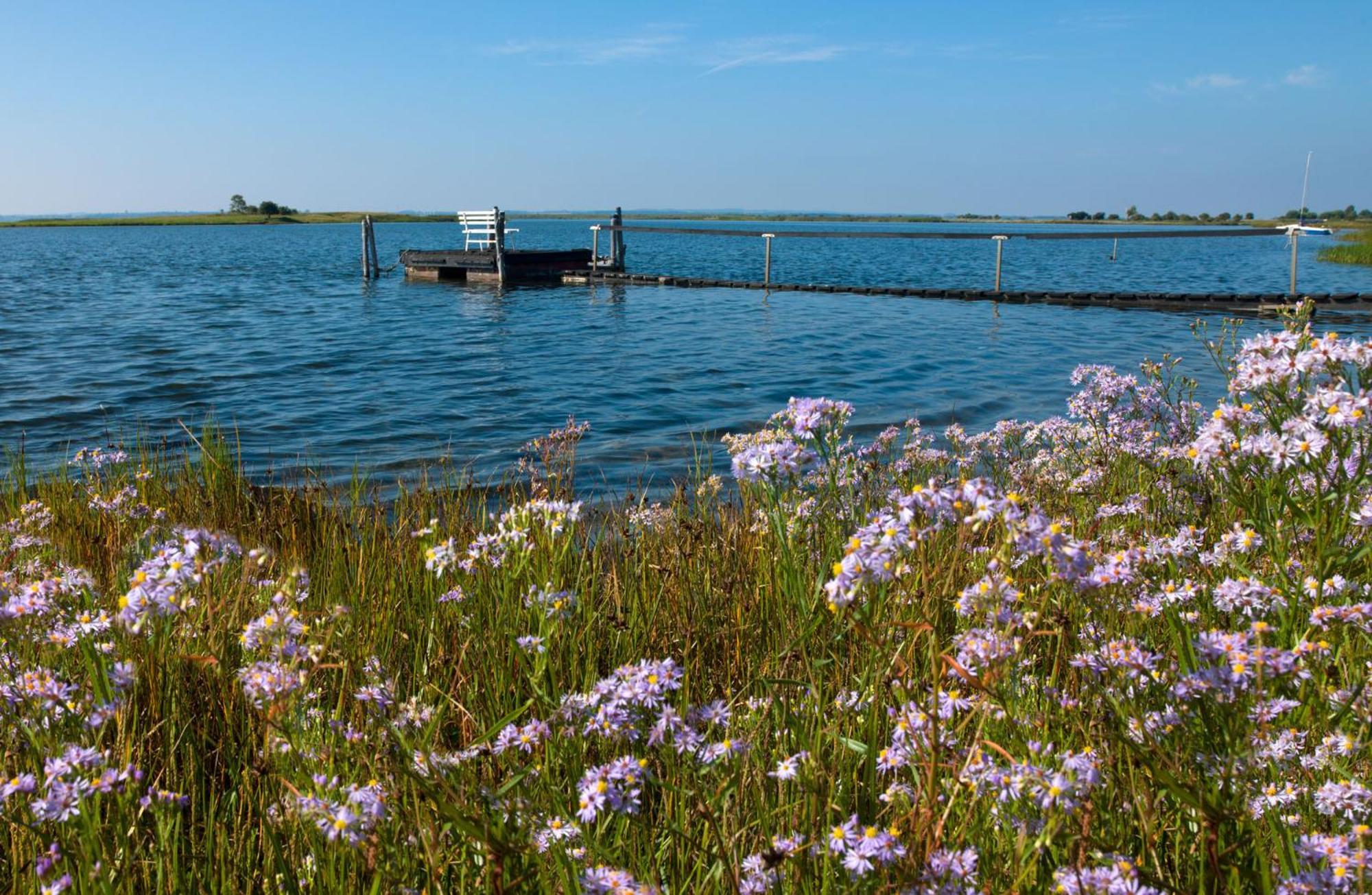 Gollwitzer Park Oase Insel Poel Exterior foto