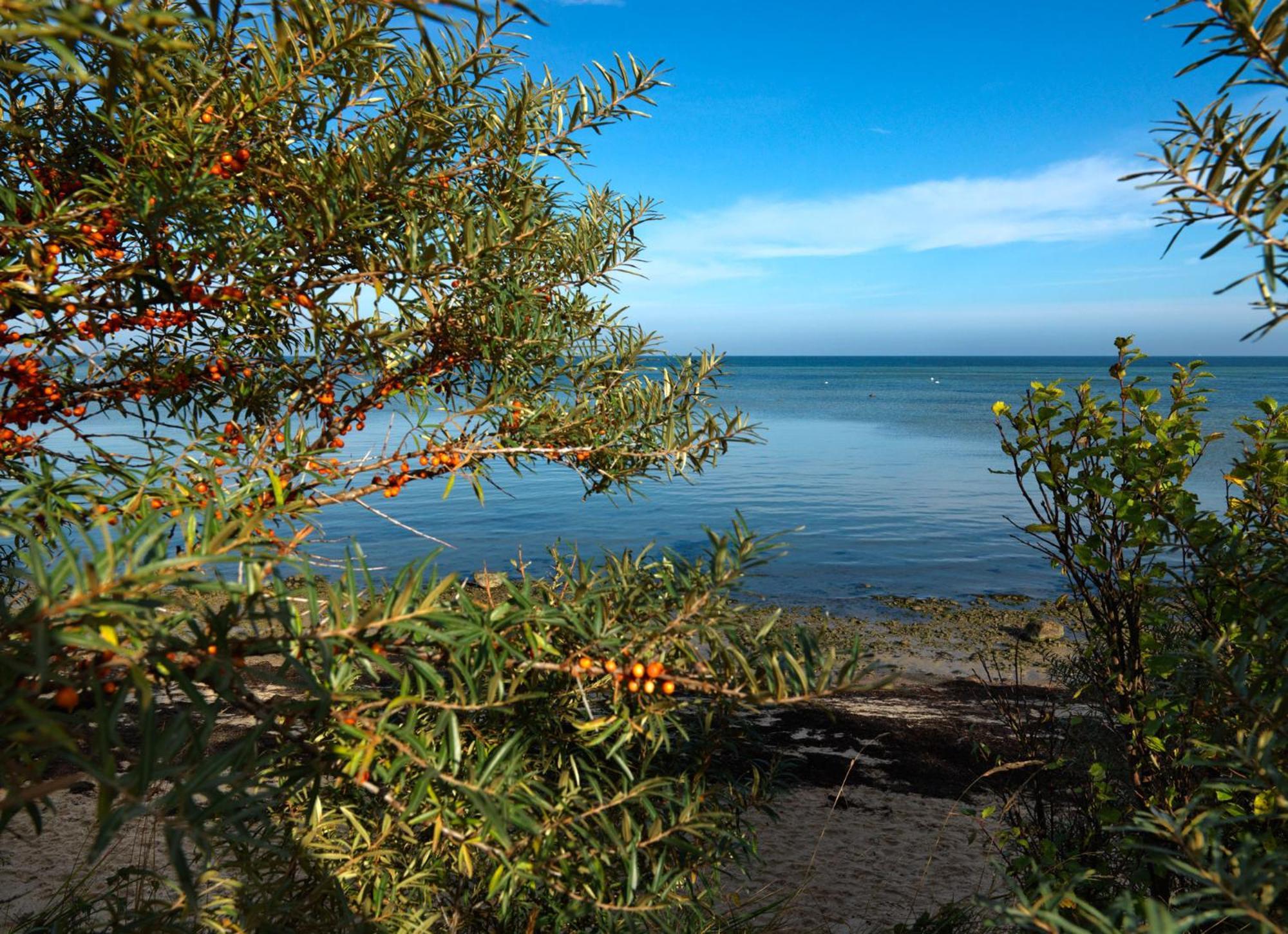 Gollwitzer Park Oase Insel Poel Exterior foto